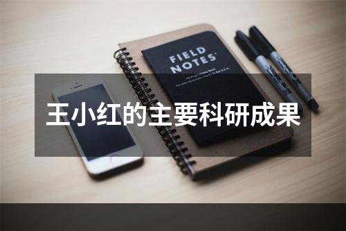 王小红的主要科研成果