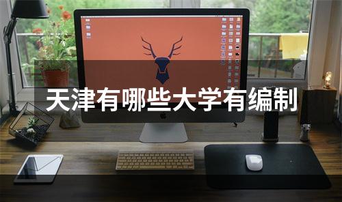 天津有哪些大学有编制