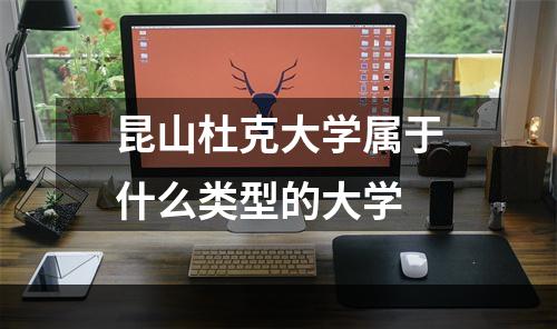 昆山杜克大学属于什么类型的大学