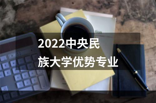2022中央民族大学优势专业