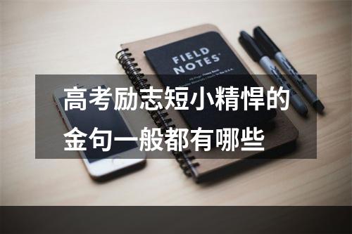 高考励志短小精悍的金句一般都有哪些