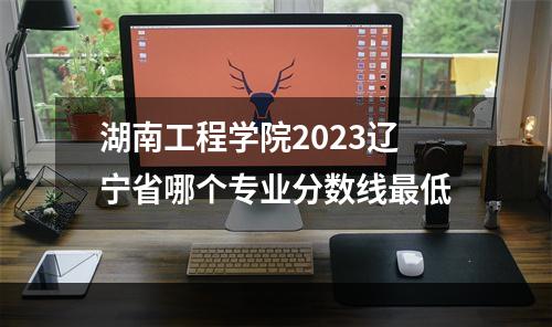 湖南工程学院2023辽宁省哪个专业分数线最低