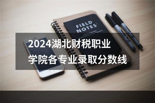 2024湖北财税职业学院各专业录取分数线