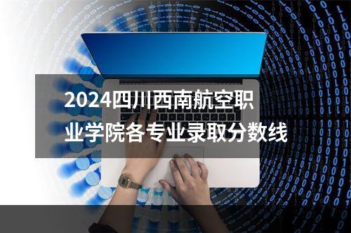 2024四川西南航空职业学院各专业录取分数线