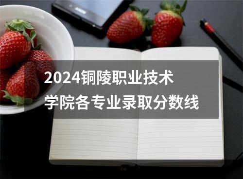 2024铜陵职业技术学院各专业录取分数线