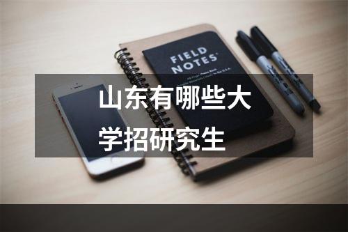山东有哪些大学招研究生