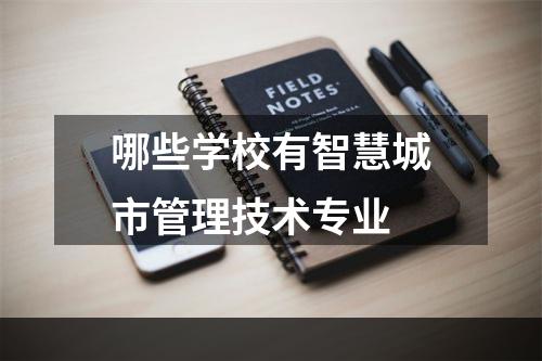 哪些学校有智慧城市管理技术专业
