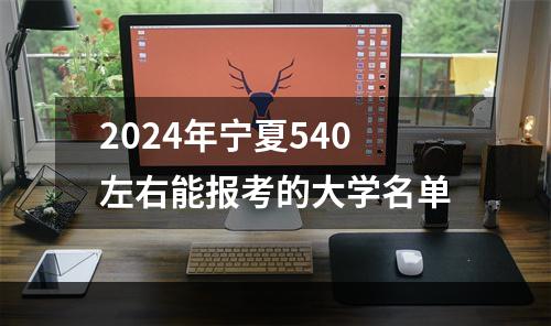2024年宁夏540左右能报考的大学名单
