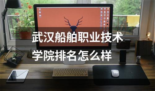 武汉船舶职业技术学院排名怎么样