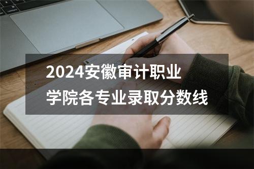 2024安徽审计职业学院各专业录取分数线