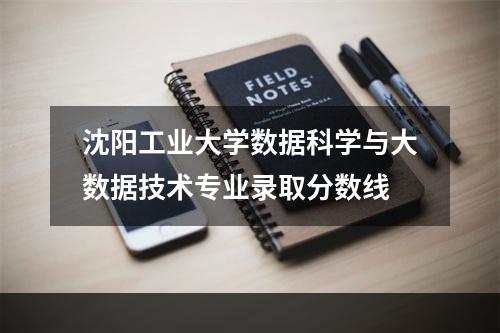 沈阳工业大学数据科学与大数据技术专业录取分数线