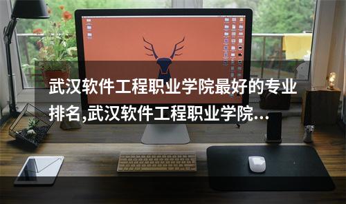 武汉软件工程职业学院最好的专业排名,武汉软件工程职业学院什么专业好