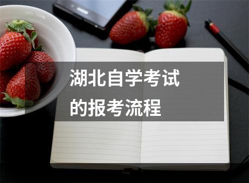 湖北自学考试的报考流程