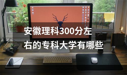 安徽理科300分左右的专科大学有哪些