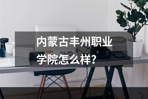 内蒙古丰州职业学院怎么样？