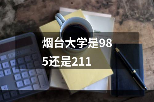 烟台大学是985还是211