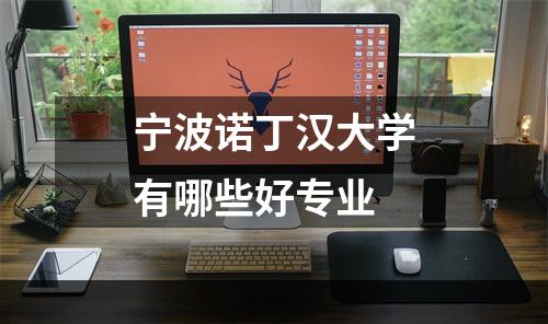 宁波诺丁汉大学有哪些好专业