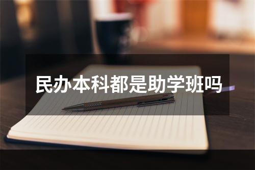 民办本科都是助学班吗
