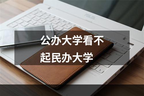 公办大学看不起民办大学