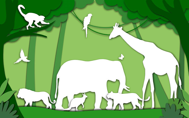 沈阳师范大学化学与生命科学学院化学系2011年考研调剂信息